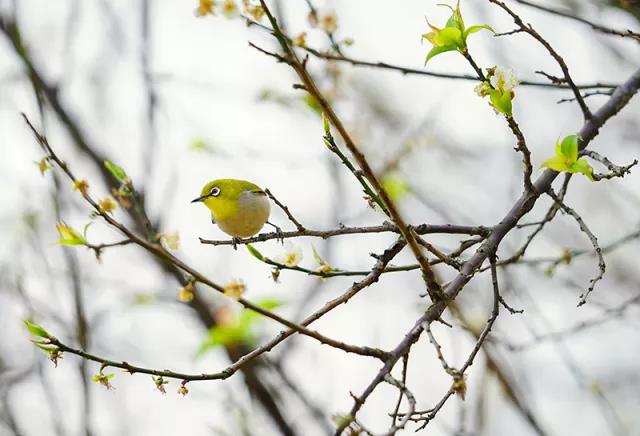 微信图片_20180314150137.jpg 微信图片_20180314150137.jpg