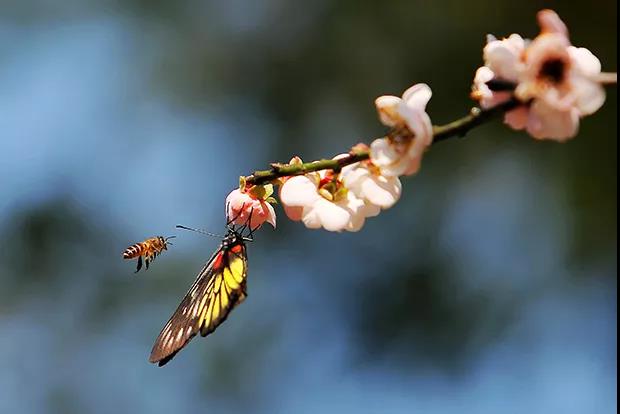 微信图片_20180314150226.jpg 微信图片_20180314150226.jpg